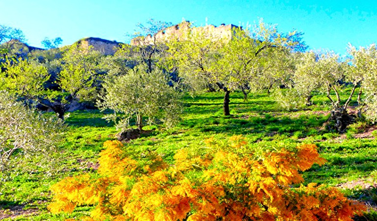 Huts (Ronda, Andalusia, Spain)