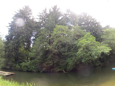 undefined photo 2