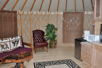 undefined photo 4