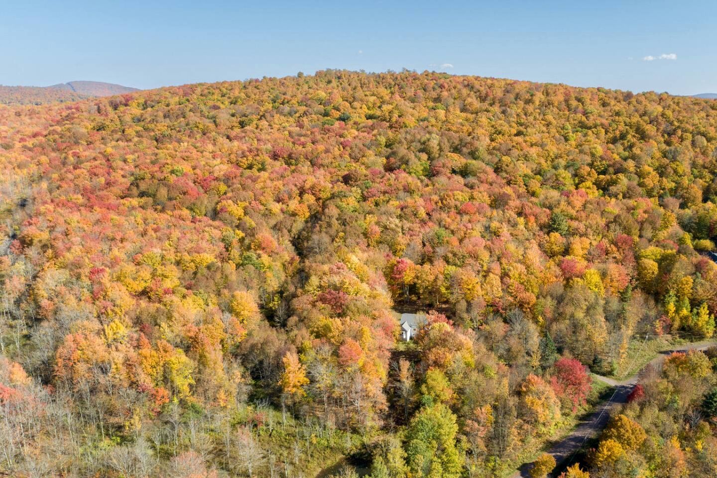 Secluded Luxury Retreat with Sauna, Pond & Forest Views in Bovina, New York