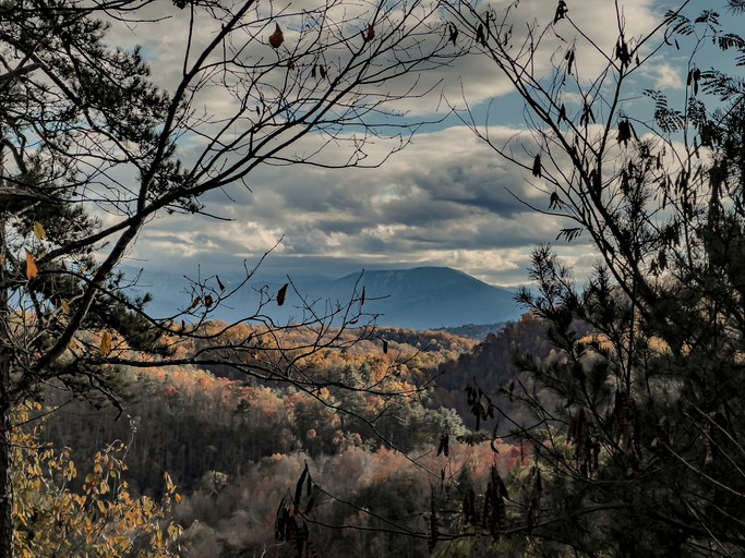 Cabins (United States of America, Pigeon Forge, Tennessee)