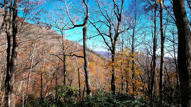 Cabins (United States of America, Black Mountain, North Carolina)