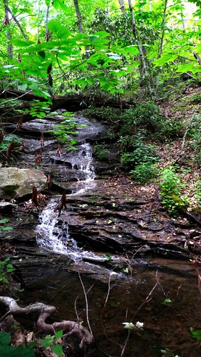 Cabins (United States of America, Black Mountain, North Carolina)