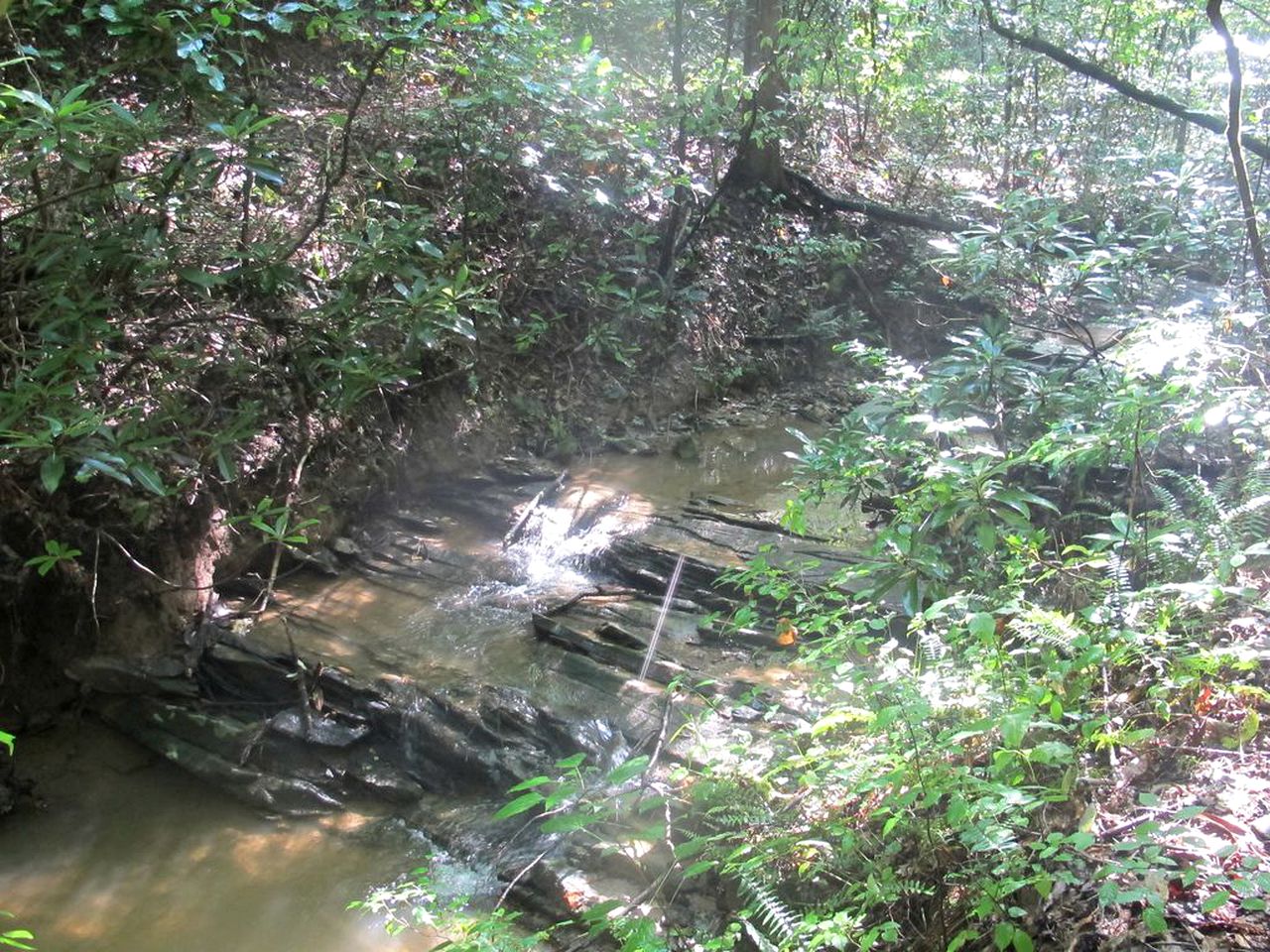 Secluded Wheelchair-Accessible Getaway near Blue Ridge, Georgia