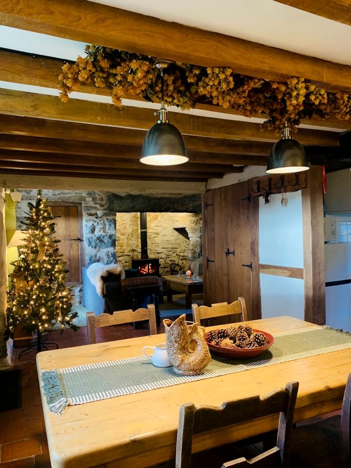 Secluded Historic Cottage with Mountain Views near Cader Idris in Snowdonia, Wales