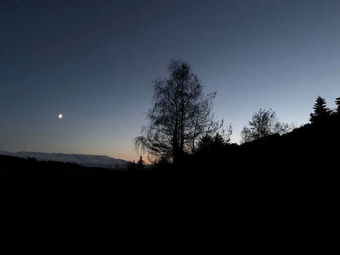 Cottages (United Kingdom, Gwynedd, Wales)