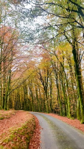 Cottages (United Kingdom, Gwynedd, Wales)