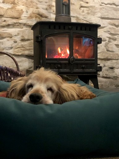 Cottages (United Kingdom, Gwynedd, Wales)