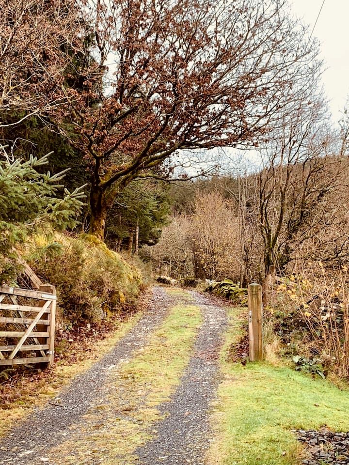 Secluded Historic Cottage with Mountain Views near Cader Idris in Snowdonia, Wales
