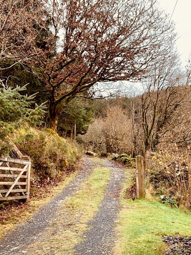 Cottages (United Kingdom, Gwynedd, Wales)