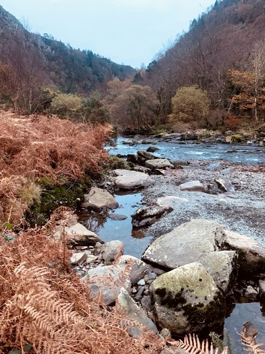 Cottages (United Kingdom, Gwynedd, Wales)