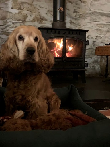 Cottages (United Kingdom, Gwynedd, Wales)