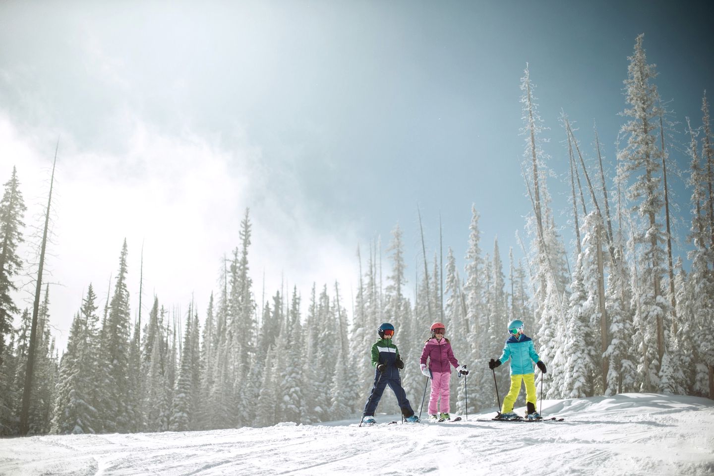 Luxurious Modern Cabin Fully Equipped Perfect for Winter Sports in Beaver Creek, Colorado
