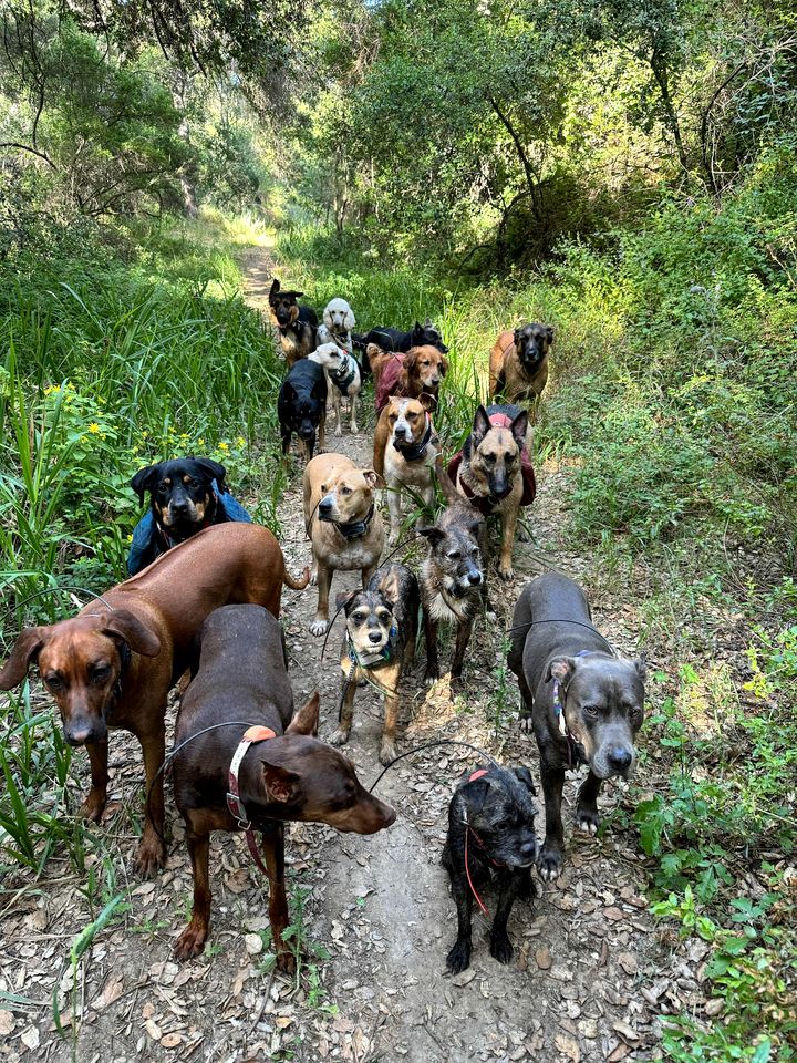 Secluded Pet Friendly Airstream in Calabasas, California