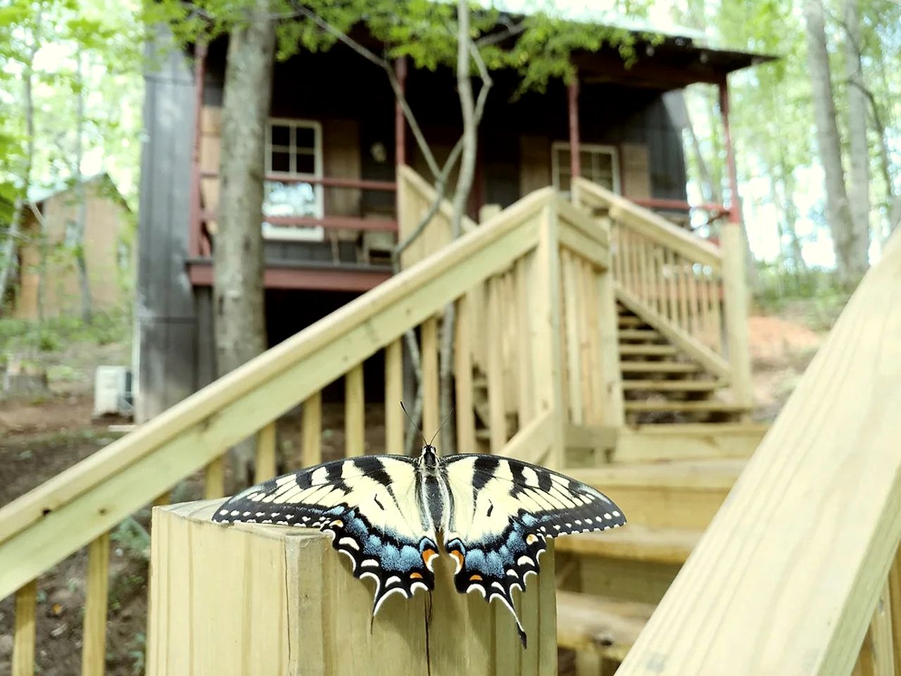 Secluded, Pet Friendly Cabin with Fire Pit, near all of North Georgia's Hiking Trails