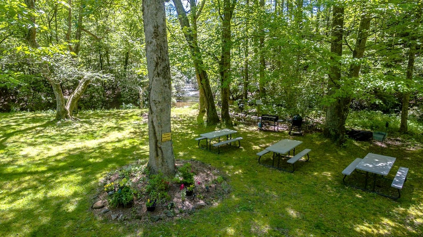 Secluded Pet Friendly Wooden Cabin with Sauna, Hot-tub and Pool Table in Cleveland, Georgia