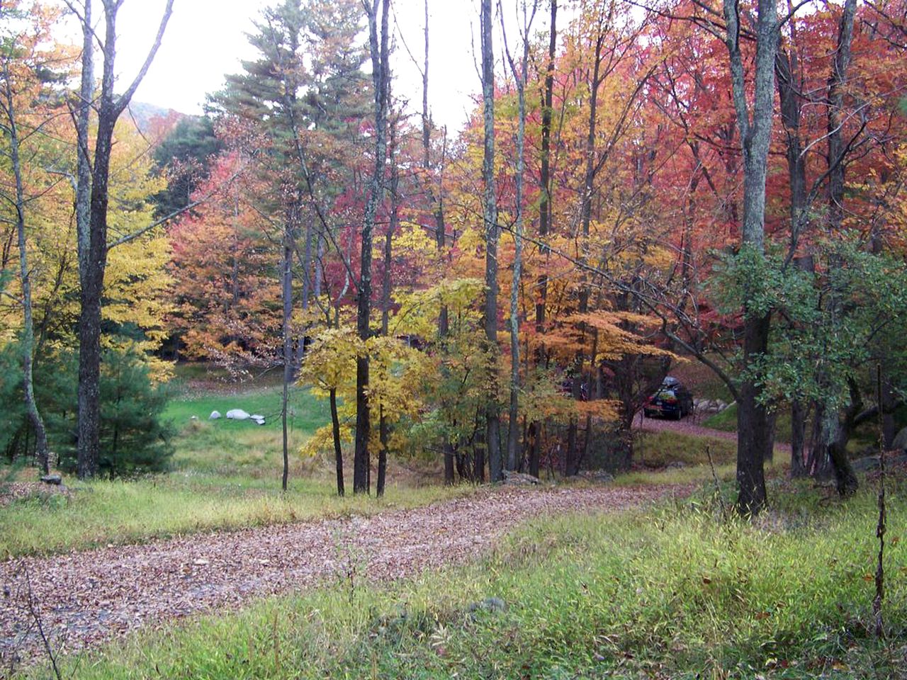 Wonderful Cabin Rental with Hot Tub Five Miles from Woodstock, New York