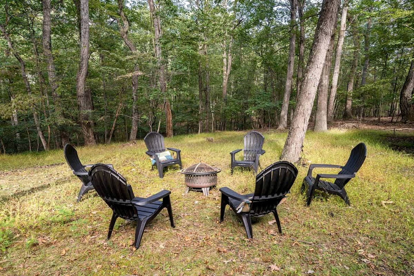 Remote, Pet Friendly Mountain Cabin with Fire Pit and Pool Access, Perfect for a Getaway to Shenandoah National Park