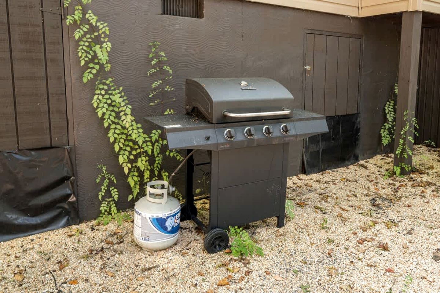 Remote, Pet Friendly Mountain Cabin with Fire Pit and Pool Access, Perfect for a Getaway to Shenandoah National Park
