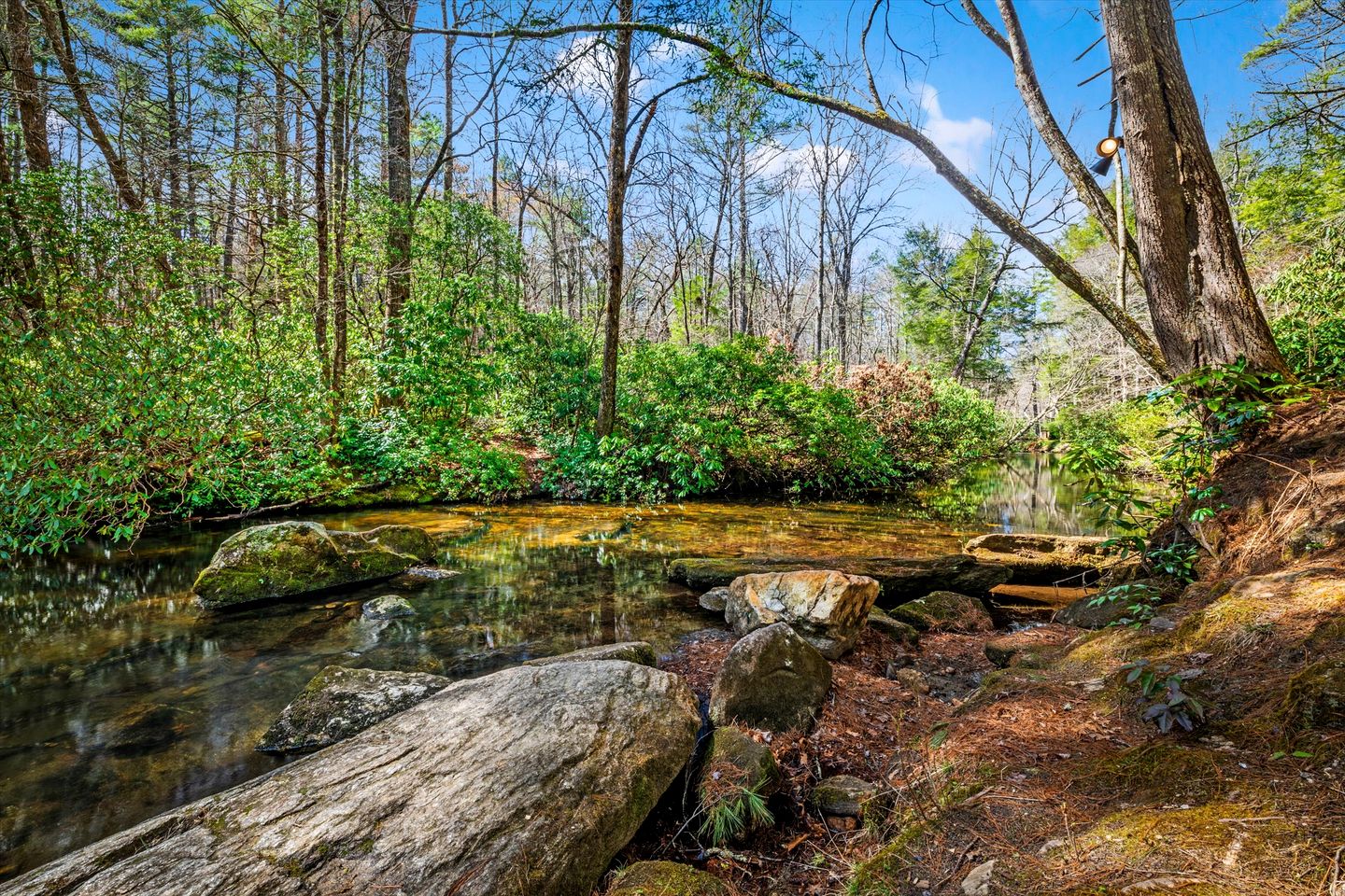 Secluded Riverfront Cabin with Hot Tub, Sauna & Private Trails near Cashiers, North Carolina