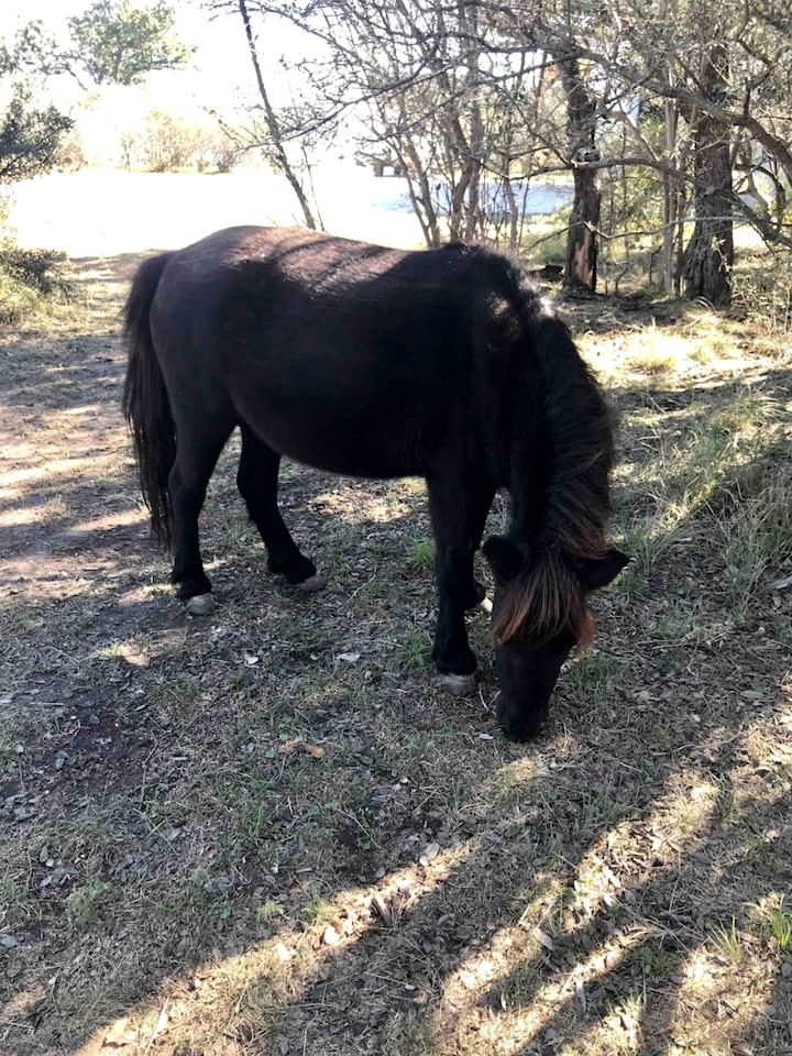 Secluded and Romantic Cabin for Two with Private Hot Tub in Fredericksburg, Texas
