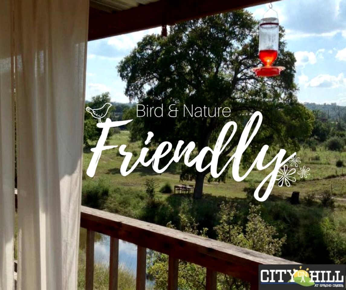 Secluded and Romantic Cabin for Two with Private Hot Tub in Fredericksburg, Texas