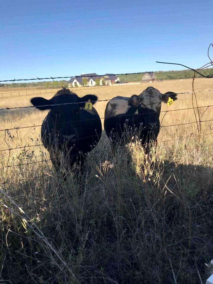 Secluded and Romantic Cabin for Two with Private Hot Tub in Fredericksburg, Texas