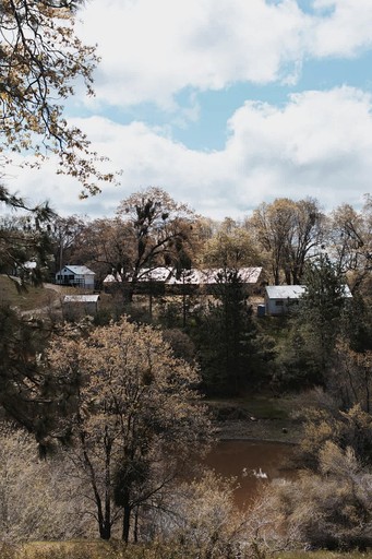 Cabins (United States of America, Dunlap, California)