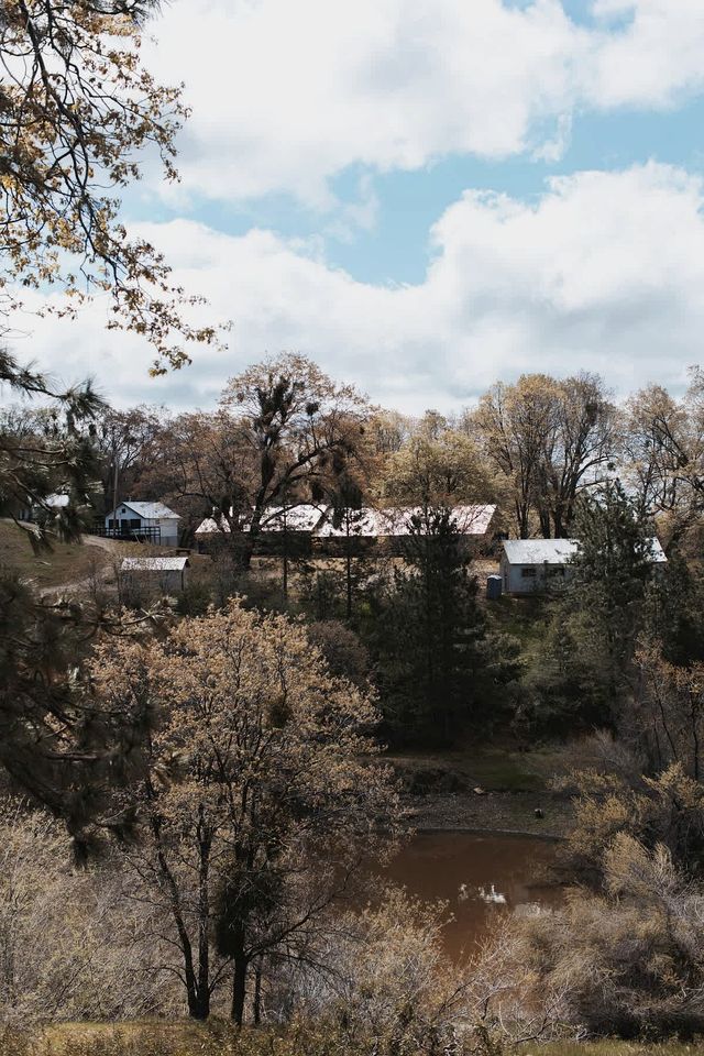Secluded and Minimalist One Bedroom Cabin, Perfect for a Visit to Kings Canyon National Park