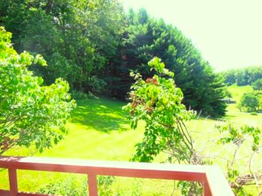 undefined photo 2
