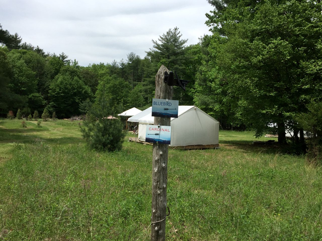 Secluded Safari Tent Camp for Entire Group in Woodstock, New York