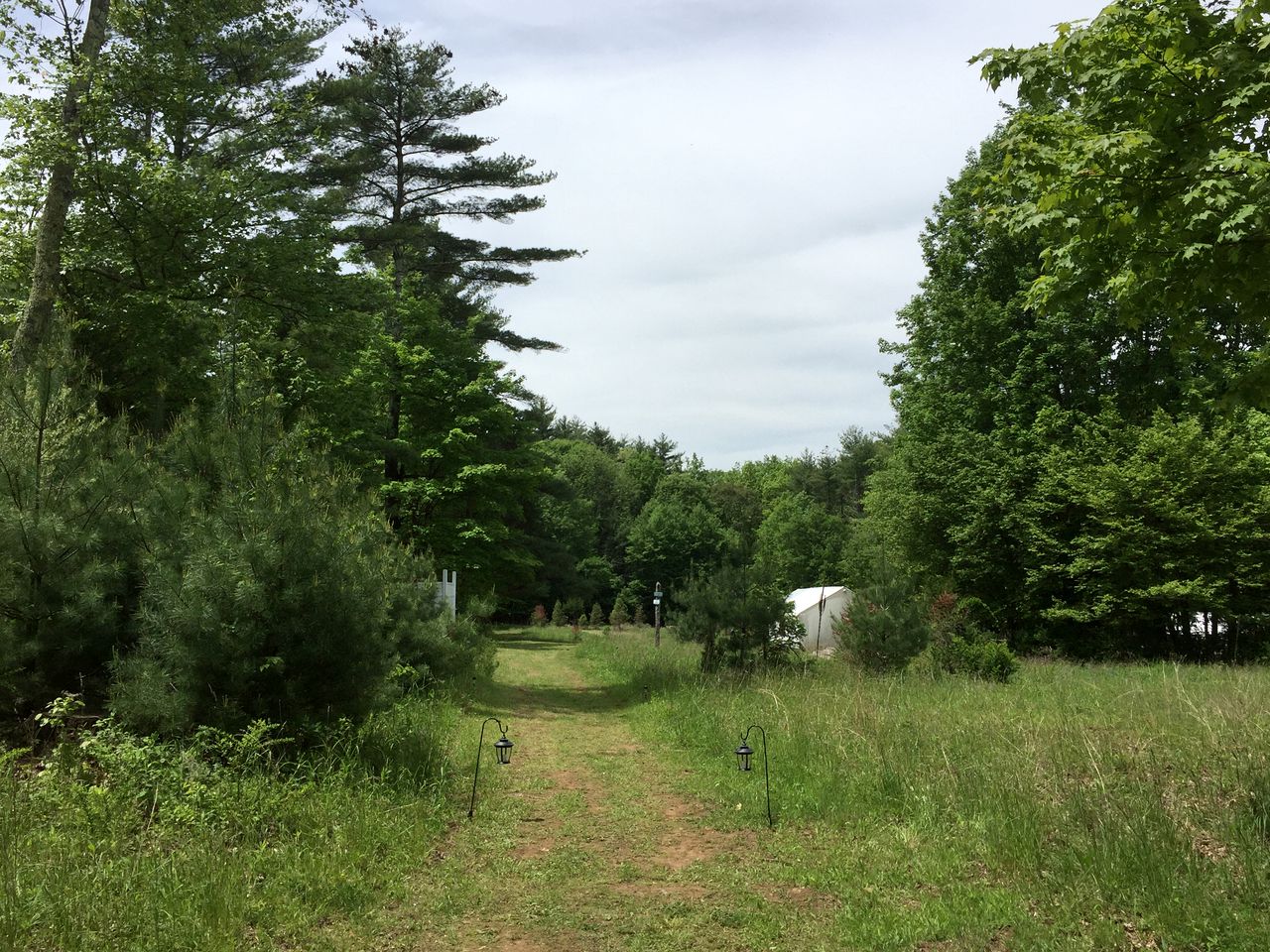 Secluded Safari Tent Camp for Entire Group in Woodstock, New York