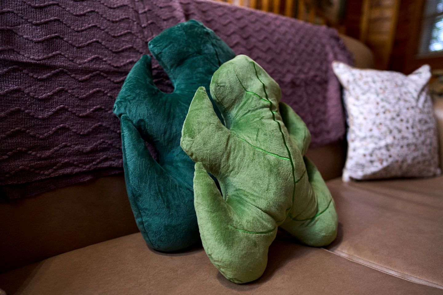 Secluded Smoky Mountain Cabin with Fireplace near Gatlinburg, Tennessee