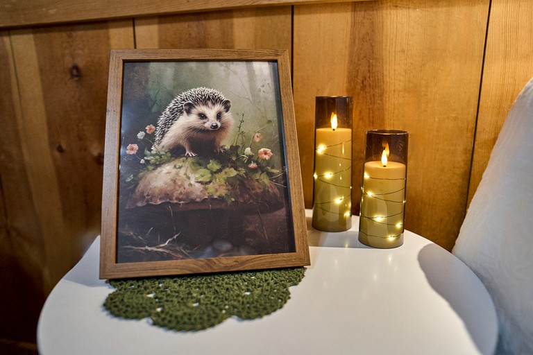 Cabins (United States of America, Sevierville, Tennessee)