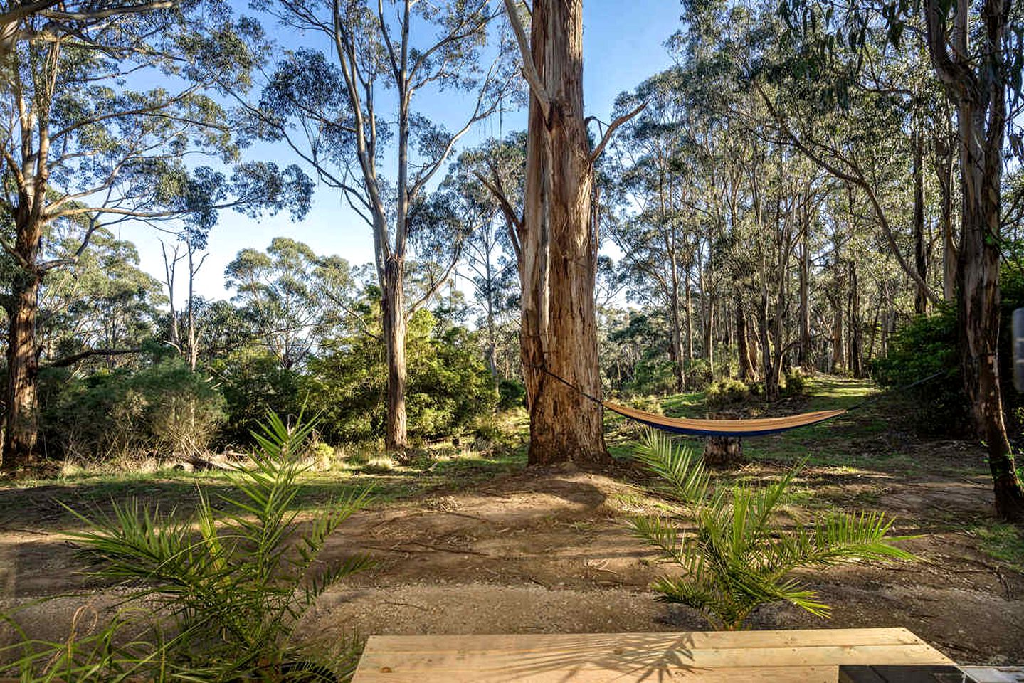 Secluded Tiny Home with Outdoor Spa & National Park Views near Churchill, Yinnar South Vic