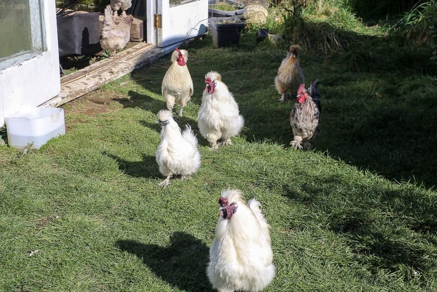 Secluded Tiny House with Breathtaking Mountain Views in Stratford, North Island