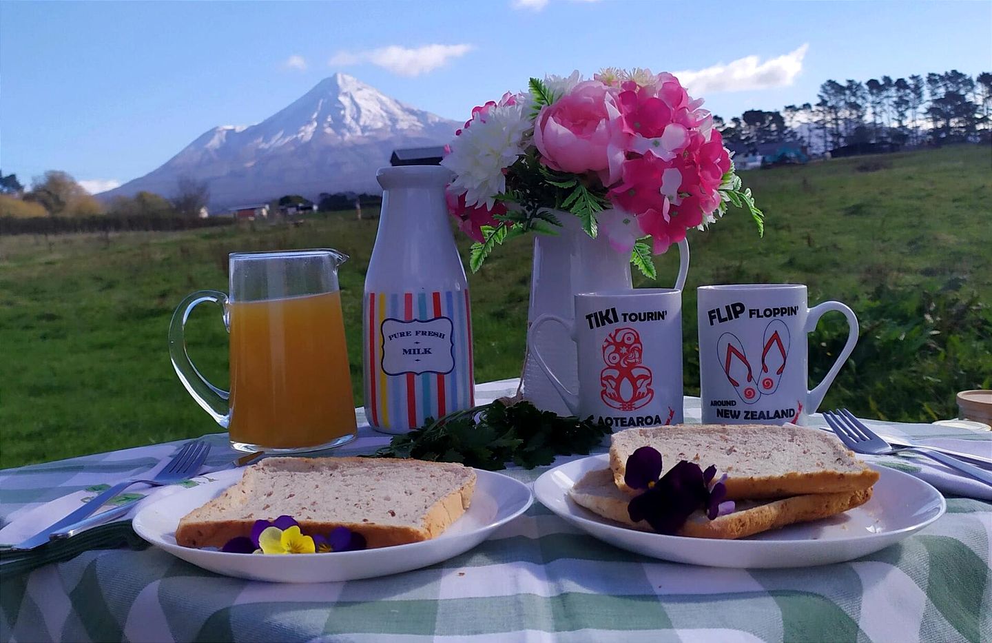 Secluded Tiny House with Breathtaking Mountain Views in Stratford, North Island