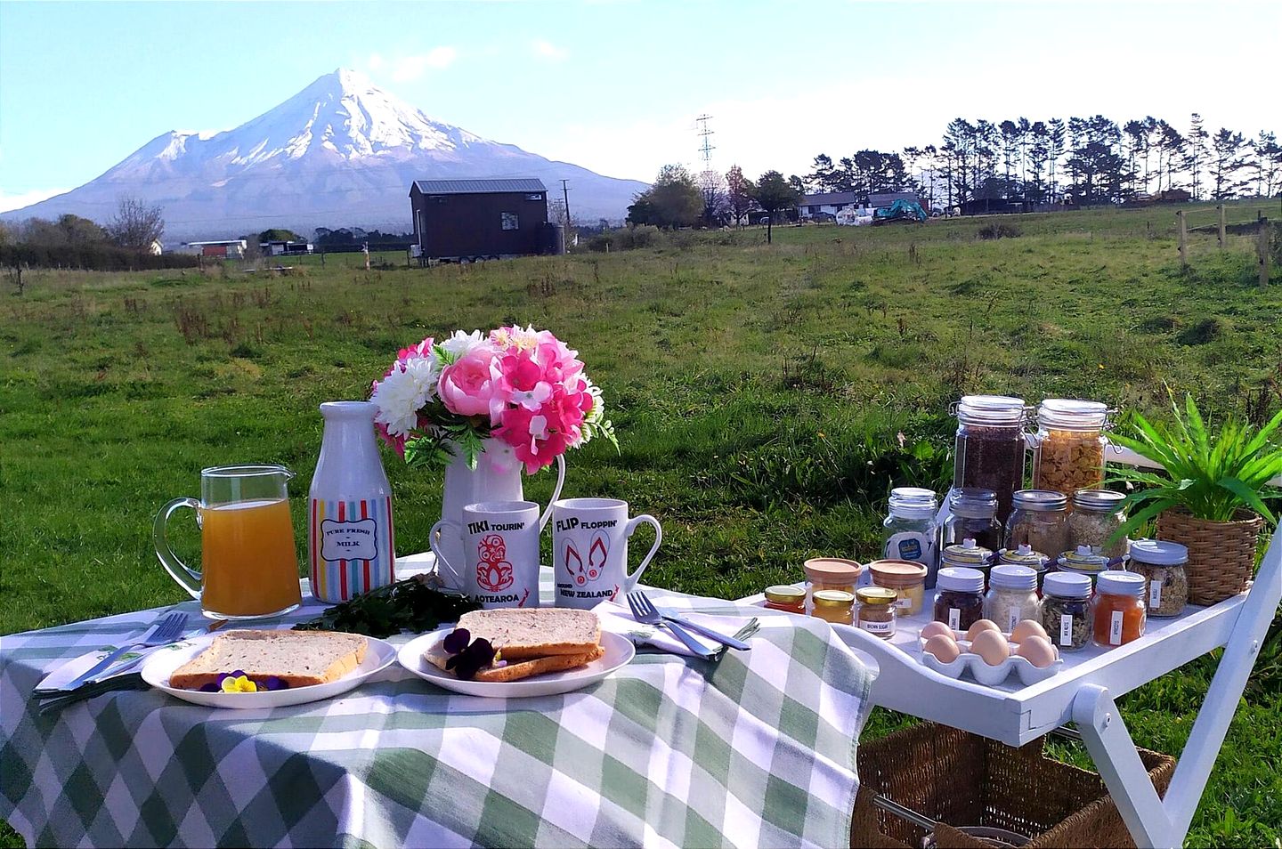 Secluded Tiny House with Breathtaking Mountain Views in Stratford, North Island