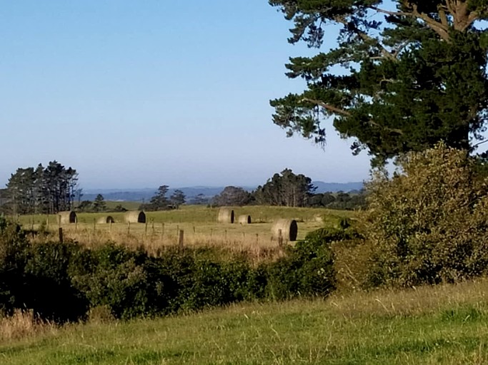 Tiny Houses (New Zealand, Stratford, North Island)