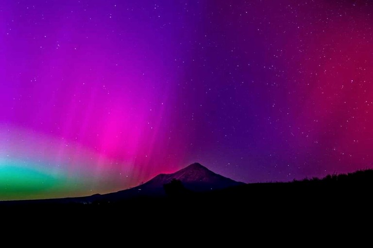 Tiny Houses (New Zealand, Stratford, North Island)