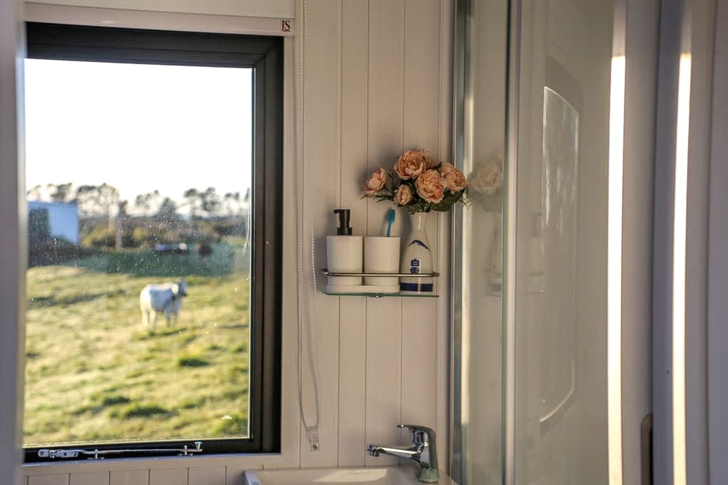 Secluded Tiny House with Breathtaking Mountain Views in Stratford, North Island