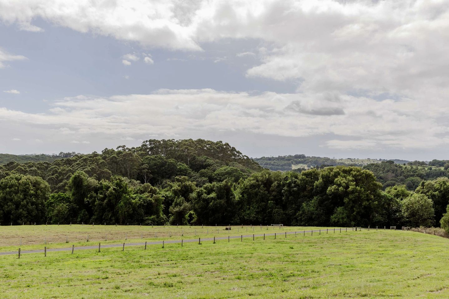 Secluded Tiny House Stay on Macadamia Plantation near Byron Bay, NSW