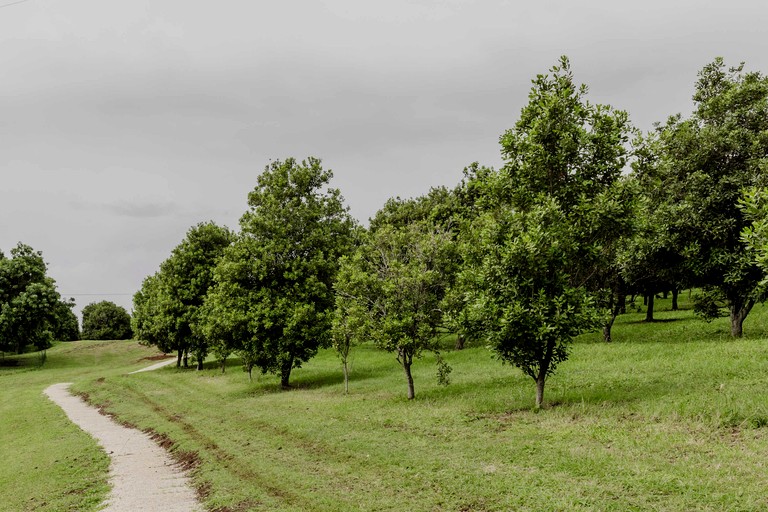 Tiny Houses (Australia, Cumbalum, New South Wales)