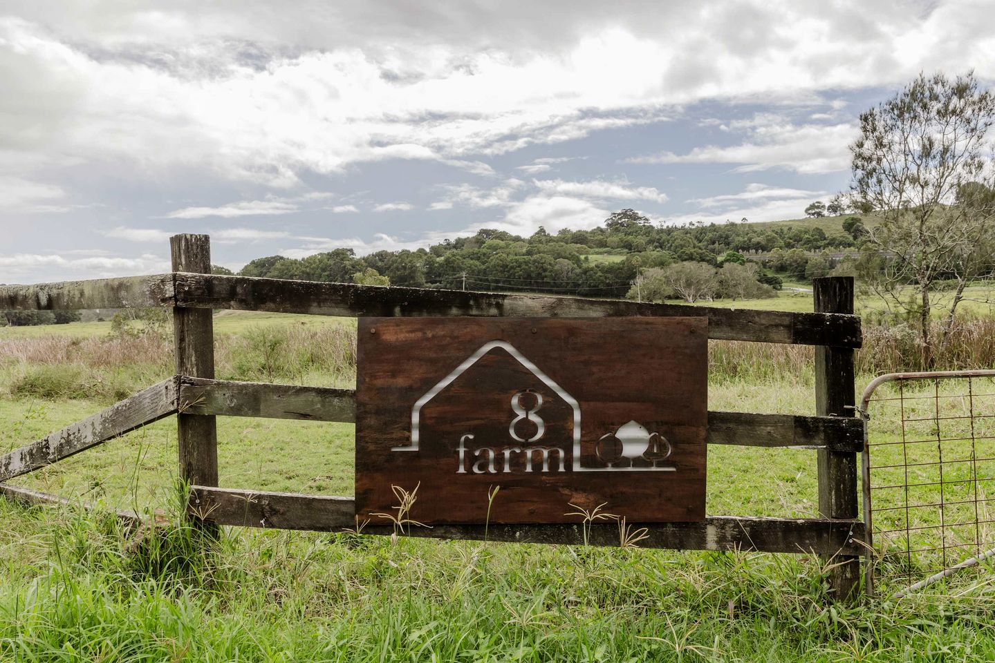 Secluded Tiny House Stay on Macadamia Plantation near Byron Bay, NSW
