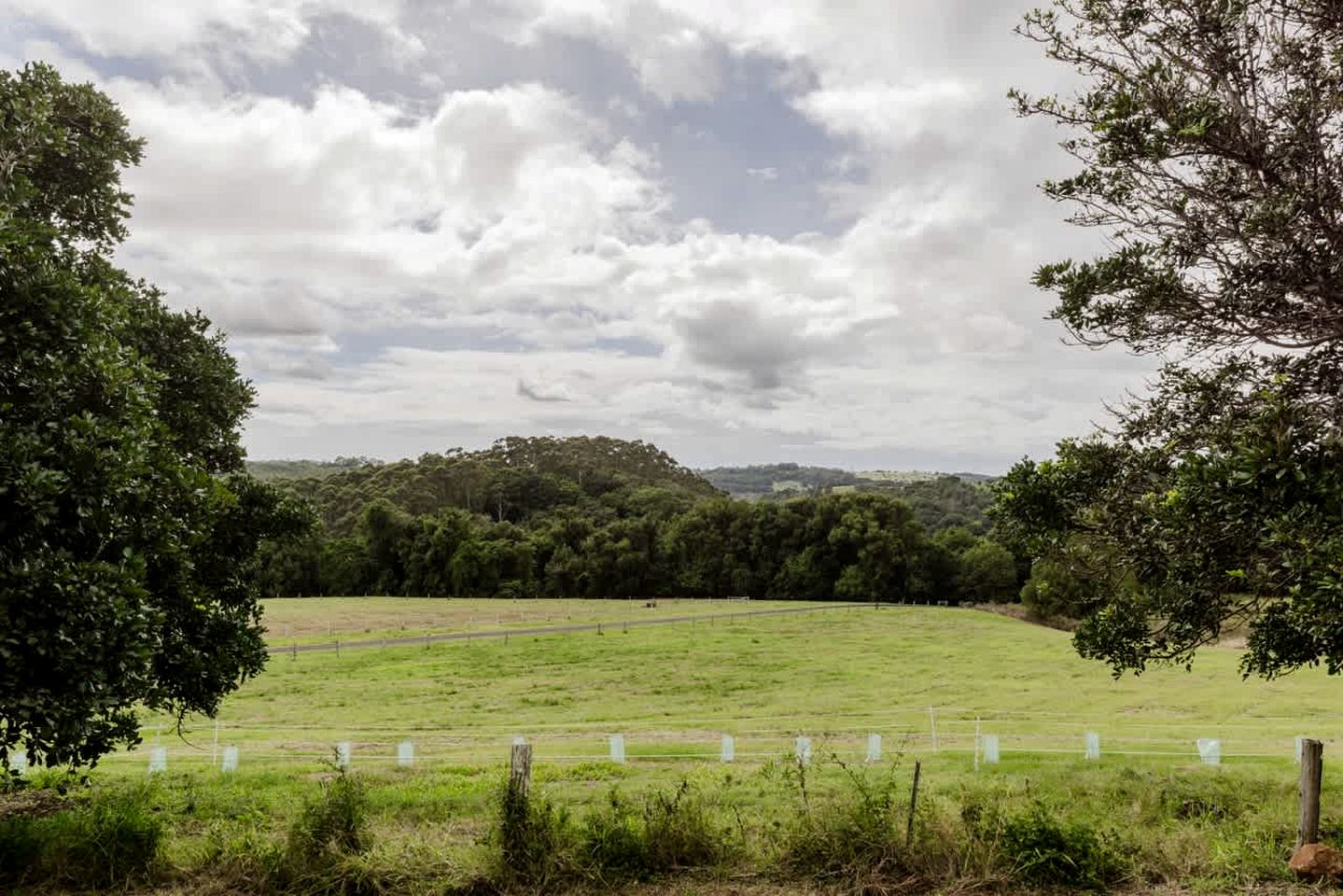 Secluded Tiny House on Macadamia Plantation Near Byron Bay, Cumbalum NSW