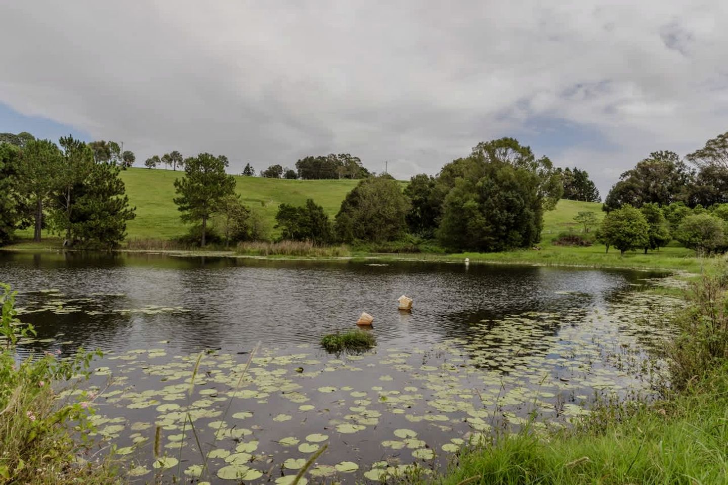 Secluded Tiny House on Macadamia Plantation Near Byron Bay, Cumbalum NSW