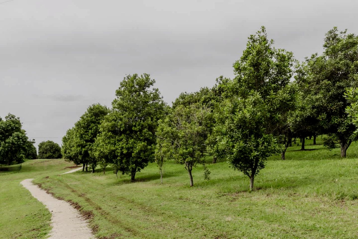 Secluded Tiny House on Macadamia Plantation Near Byron Bay, Cumbalum NSW