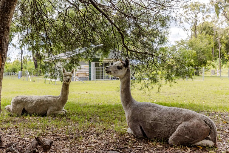 Tiny Houses (Australia, James Creek, New South Wales)