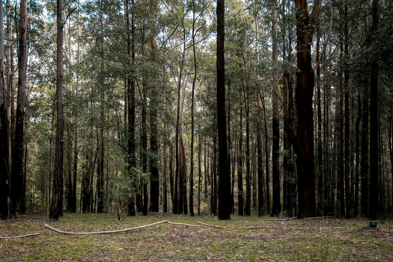 Tiny Houses (Australia, Upper Colo, New South Wales)