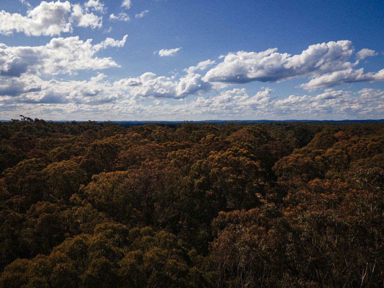Secluded Tiny House with Off-Grid Charm near Colo River & Blue Mountains, NSW